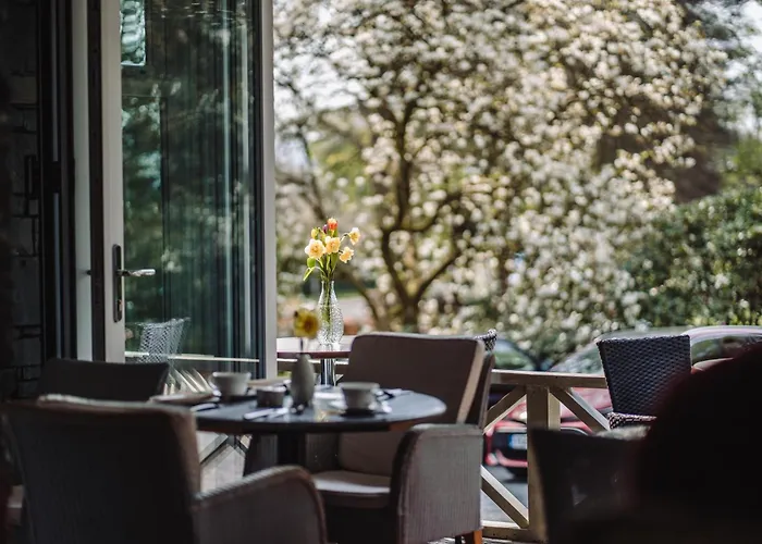 Ambleside Manor - Vegetarian B&B